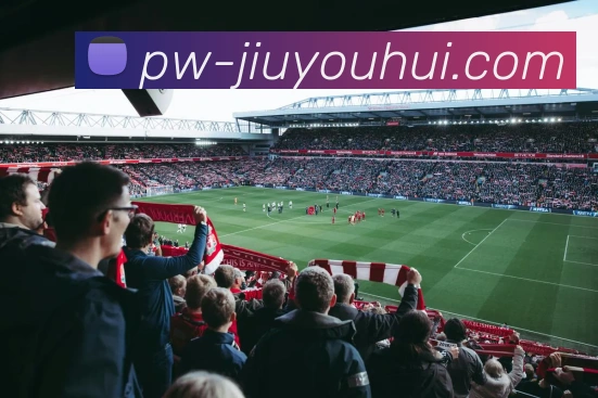 J9九游会官网平台生态图